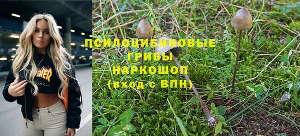 PSILOCYBIN Богородицк